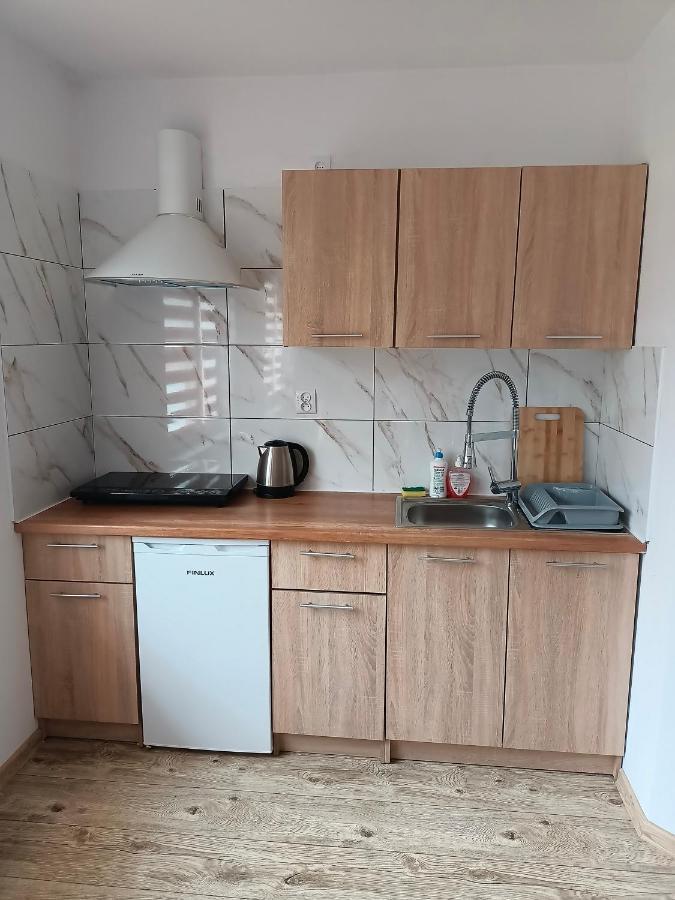 Appartement U Zbyszka à Kamienna Gora Extérieur photo