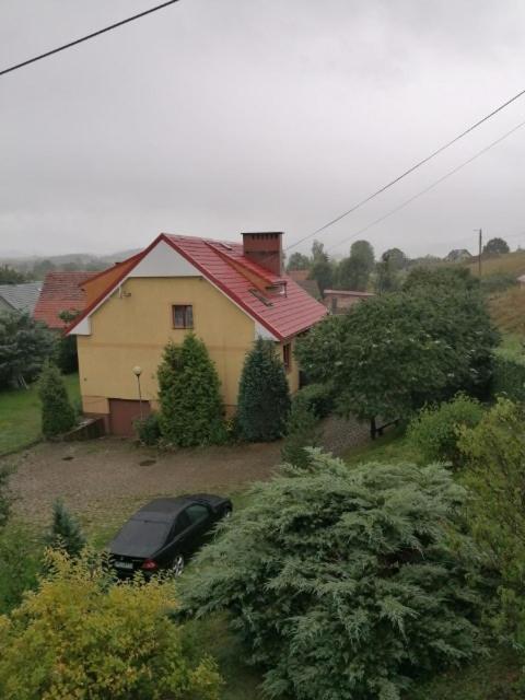 Appartement U Zbyszka à Kamienna Gora Extérieur photo