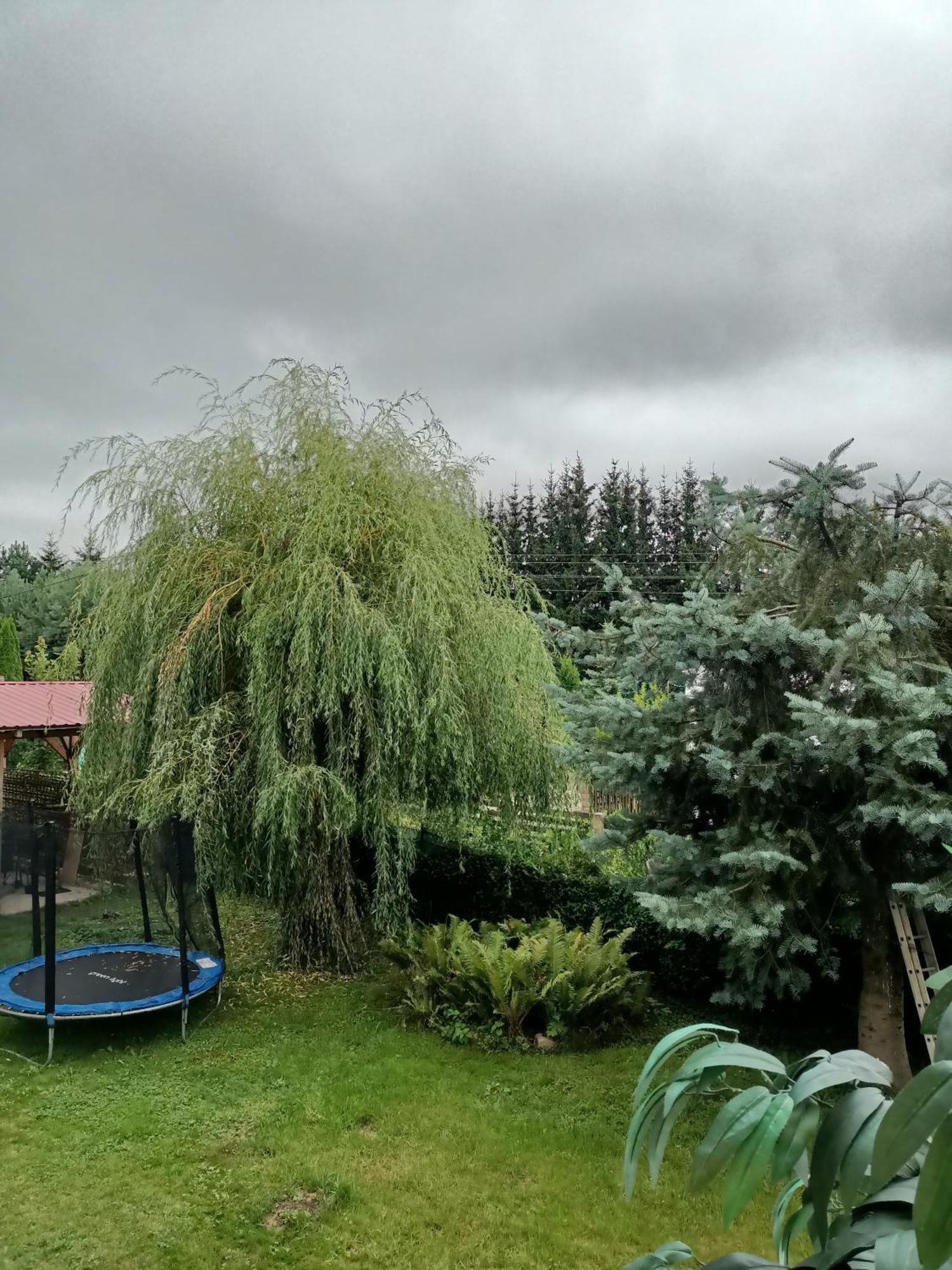 Appartement U Zbyszka à Kamienna Gora Chambre photo